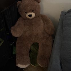 Teddy Bear