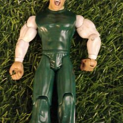 Wwe Figure 