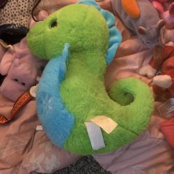 A Sea Horse