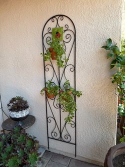Metal Garden Trellis