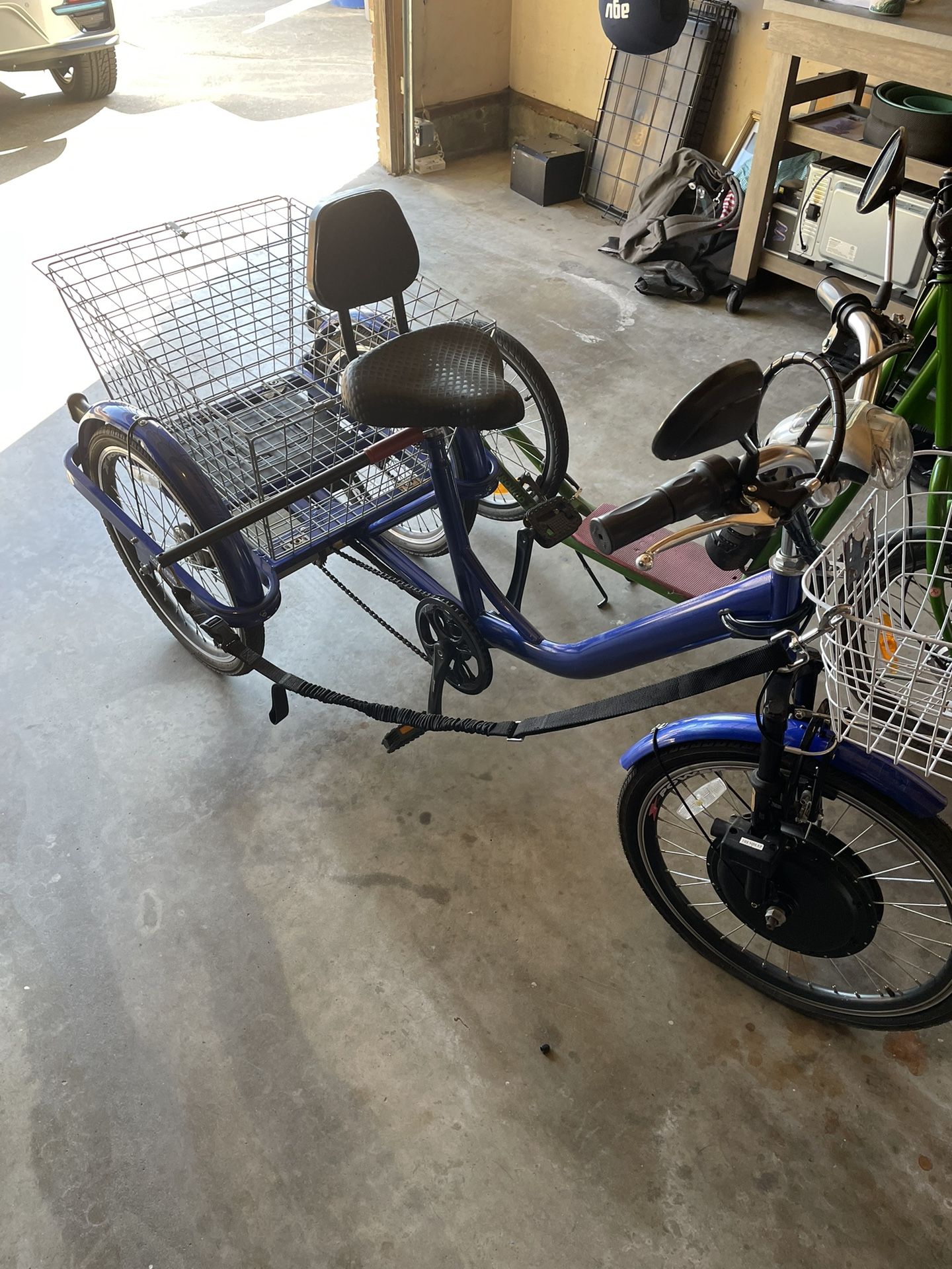 CozyTrike Electric Trike Tricycle Ebike