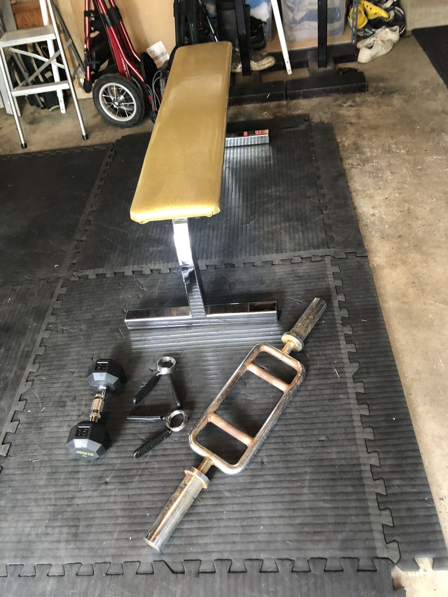 Weights Weight Bench
