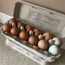 Fresh Chicken Eggs By Dozen 