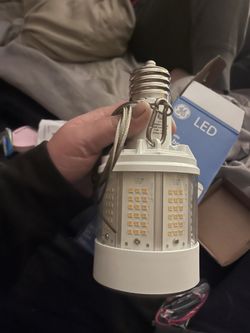 Huge LED Light Bulbs