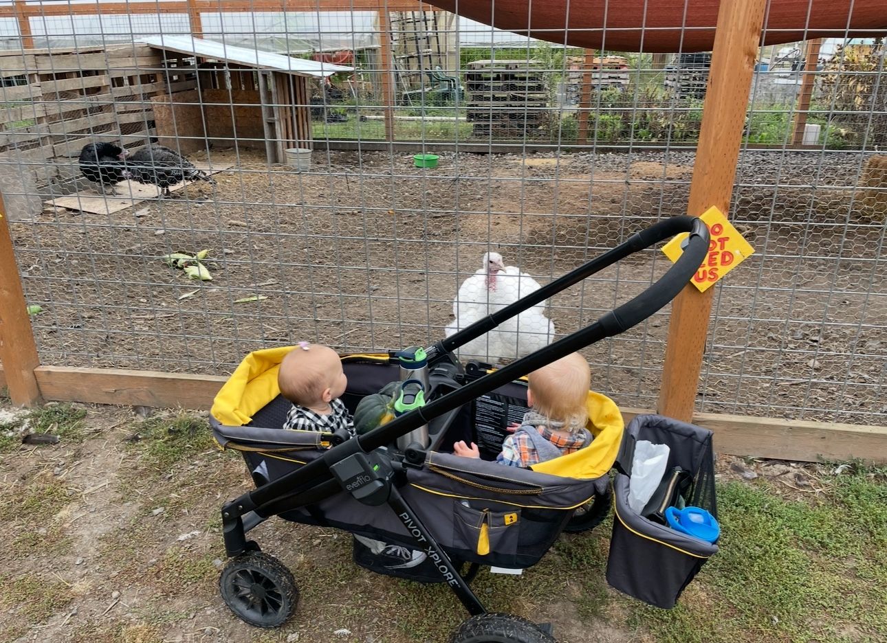EVENFLO Pivot Xplore Wagon Stroller For Toddler / Baby
