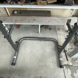 Golds Gym Squat Rack /weights /bench/bench And Curling Bar 