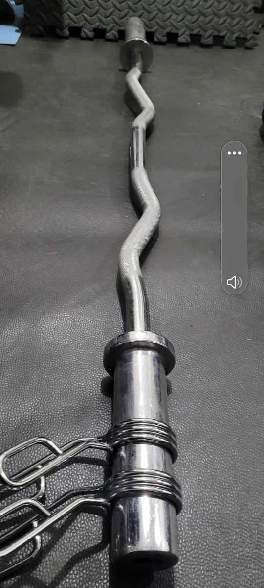 Olympic Curl Bar