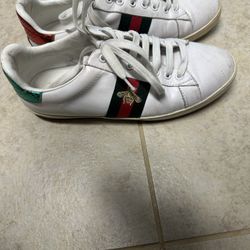 Gucci Sneakers 