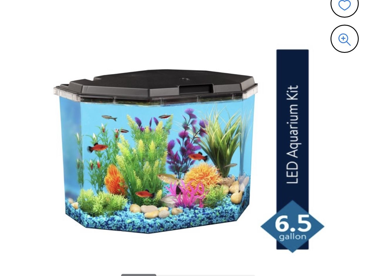 6.5 Gallon Fish tank