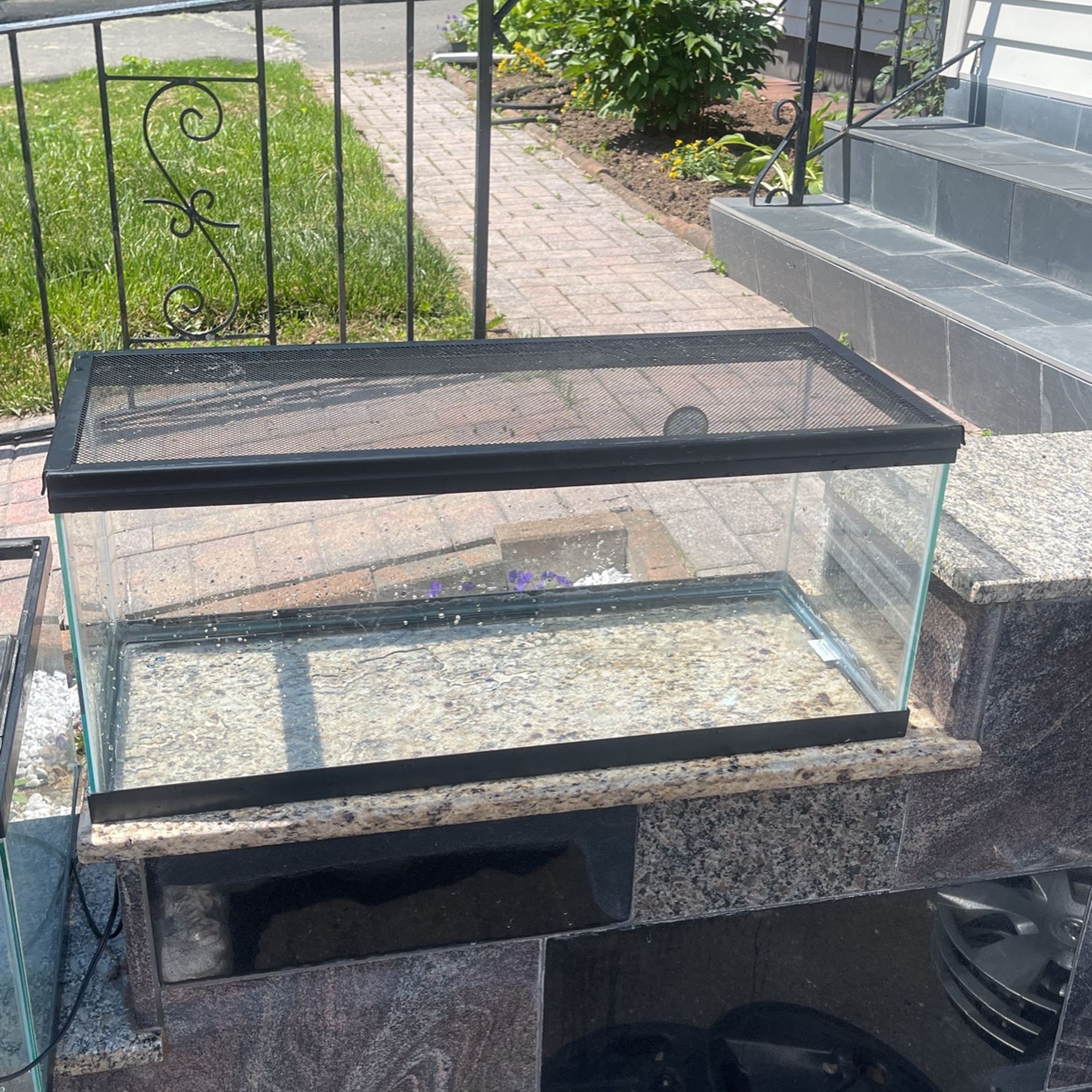 Reptile Tank