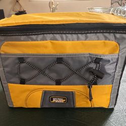 Polar Pack – Soft Cooler with Shoulder Strap (9"H x 12"W x 9"D