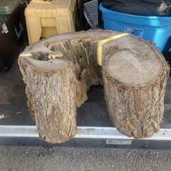 Rare Decorative Tree Stump