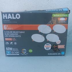 Canless Ceiling Lights 