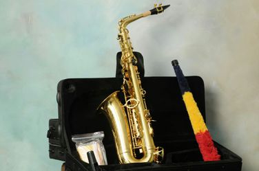 Saxophon fever nuevo.... brand-new saxophone fever...