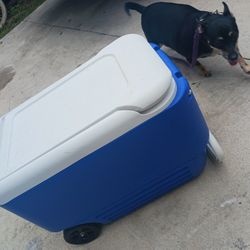 GOT 2 BLUE AN RED IGLO COOLERS NICE CLEAN 10 EACH LOOK MY POST TONS ITEM FINAL PRICE TOO