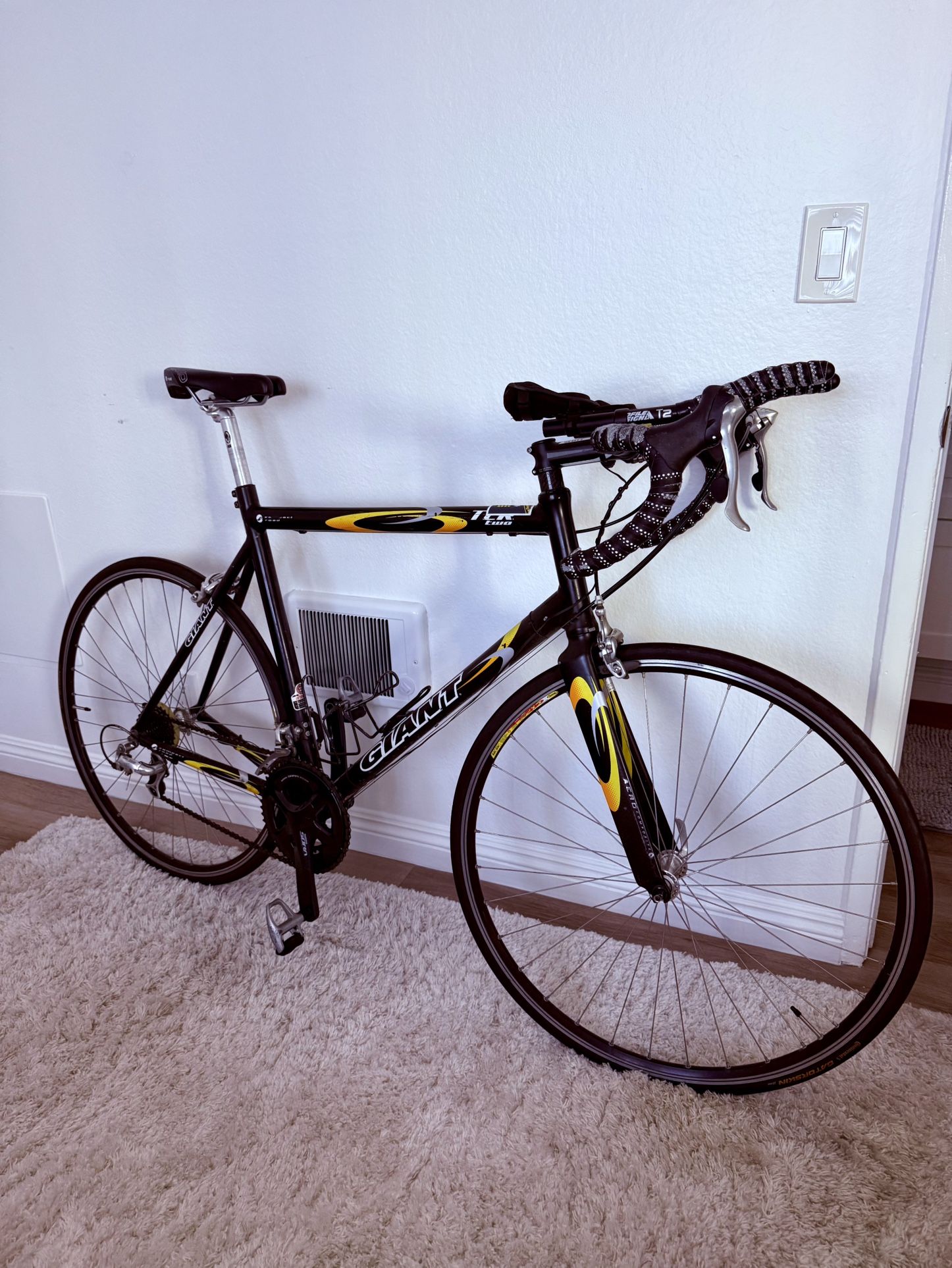 Triathlon Bike – Perfect for Beginners & Enthusiasts! Giant TCR Two road bike With Triatholon Bars XL Frame