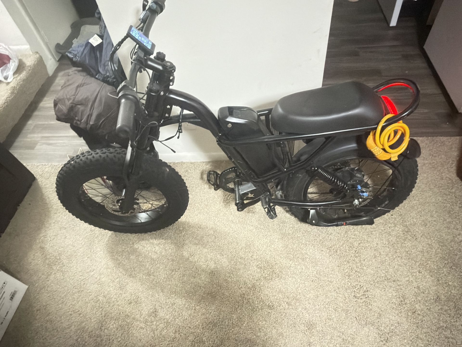 1500 Watt Peak E-bike 