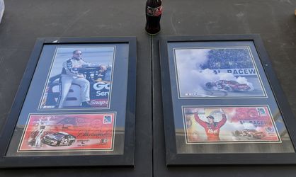 Dale Earnhardt & Dale Jr Collectibles