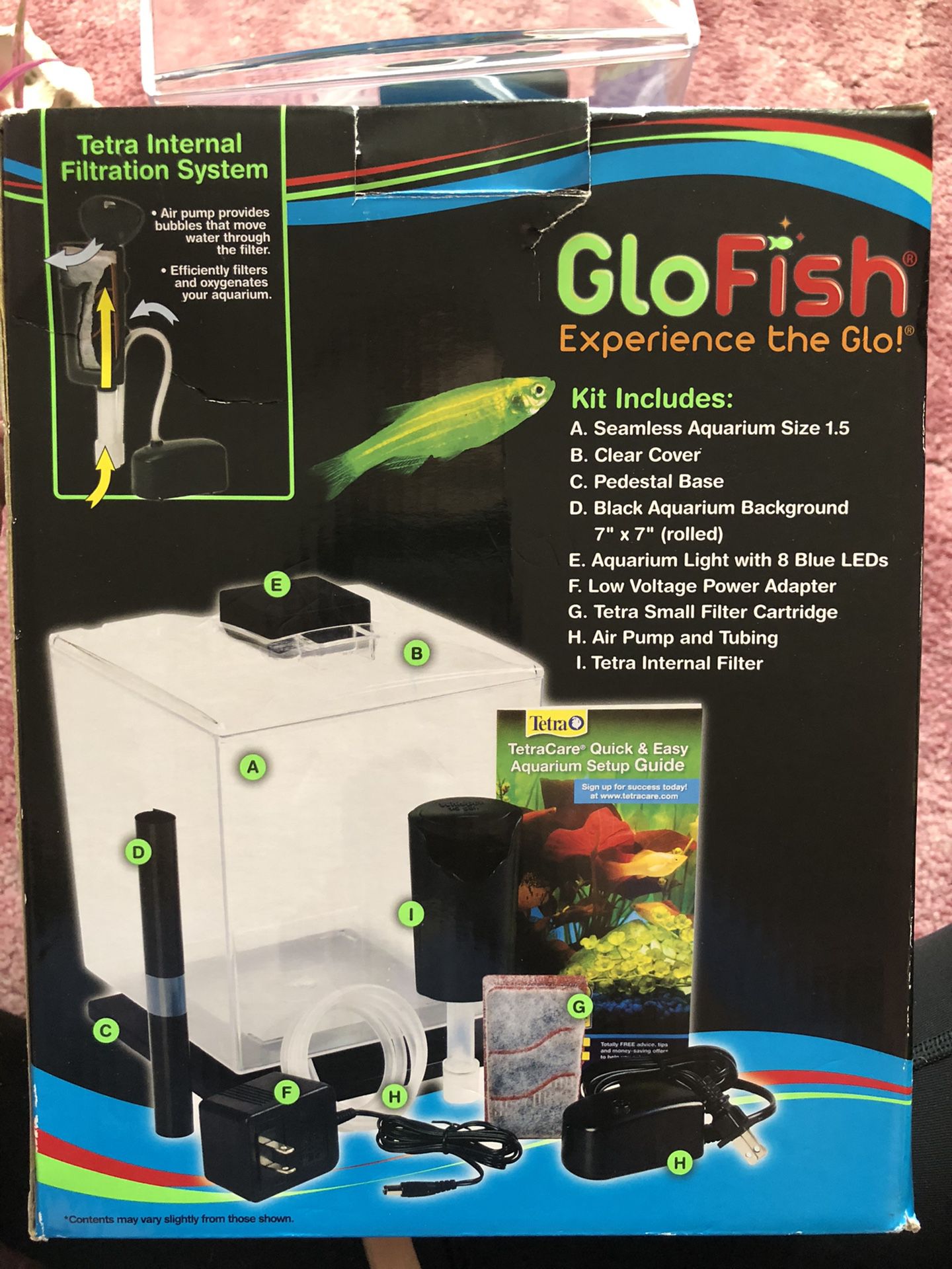 Small GloFish Aquarium