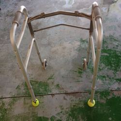 Guardian Adult Walker 