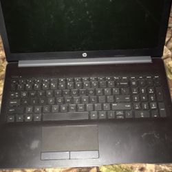 Hp Laptop