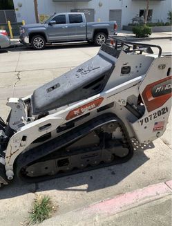 Bobcat