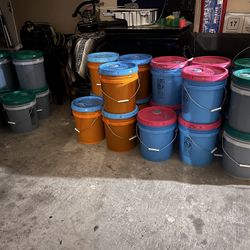 5 Gallon Detergents And Downy