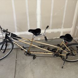 Raleigh Tandem Bike