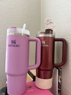 Stanley Tumblers
