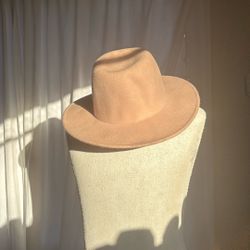 Pink Wool Madewell Hat  