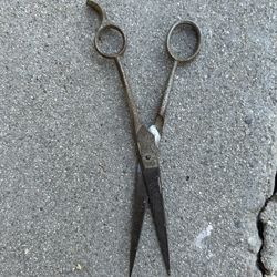 Antique Vintage Scissors 