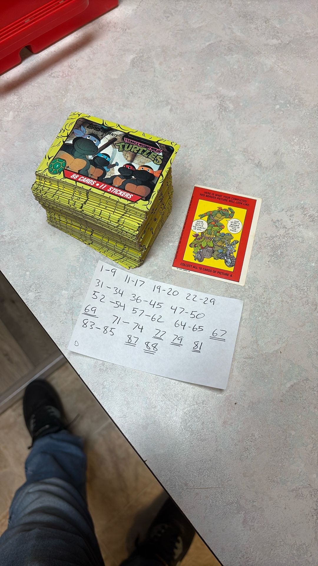 Ninja Turtle Collector Cards