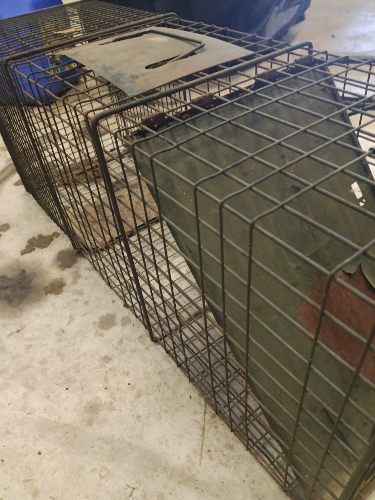 Medium Size Critter Cage