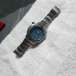 Citizen Diver Watch (Glow In the Dark)