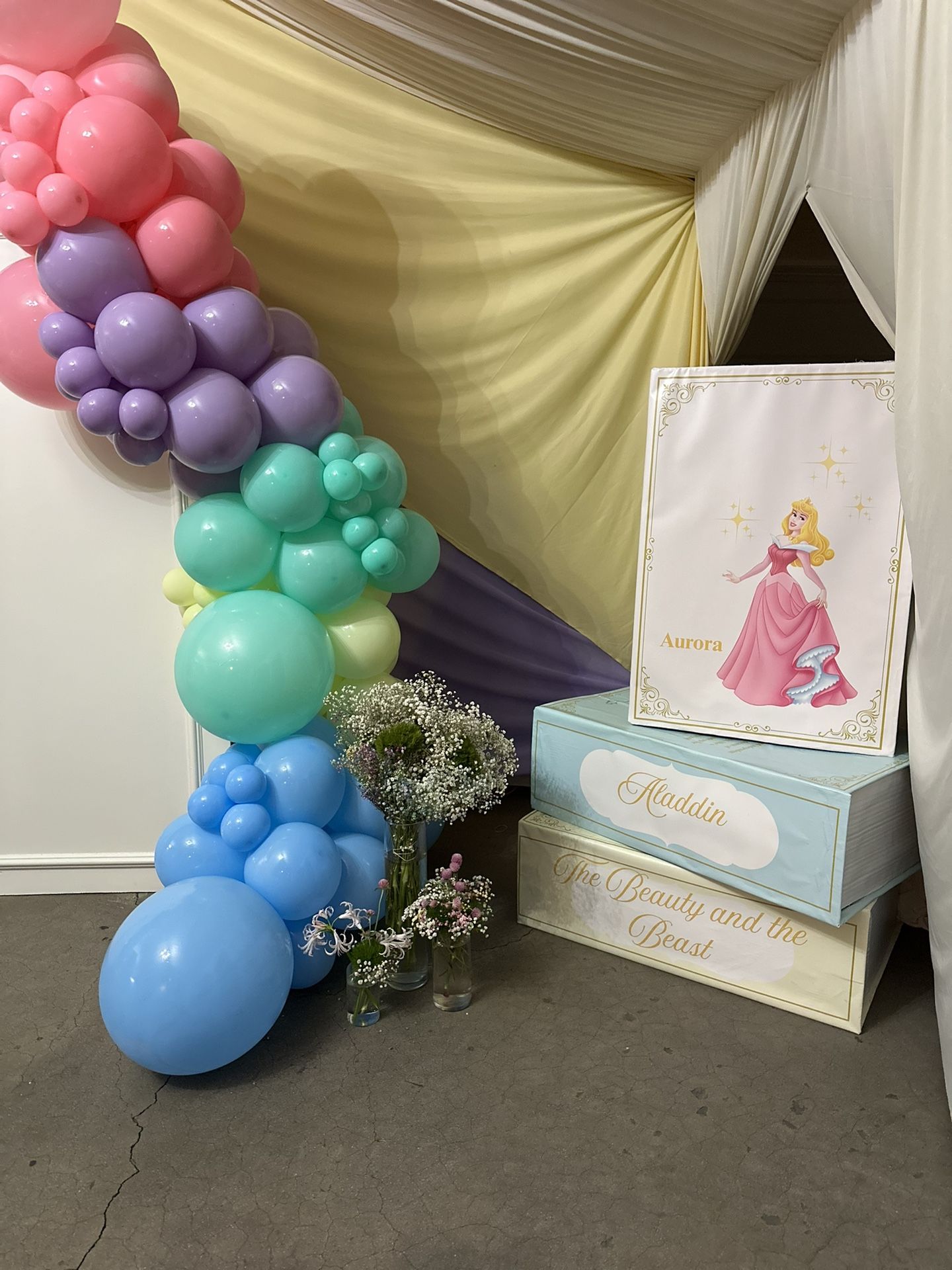 PARTY Princess Prop books
