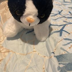 Cat Plush 