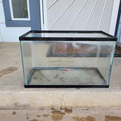 10 Gallon Tank!