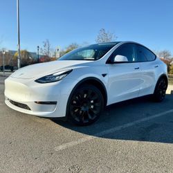 estou repassando o financiamento desse tesla 2020