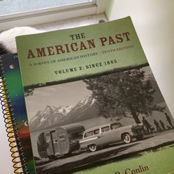 the american past vol 2