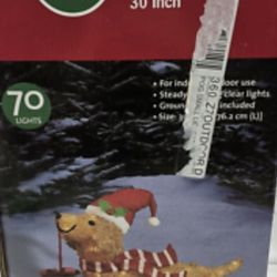 Christmas Dog With Santa Hat Lights 🐶 🎅 