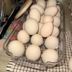 Fresh Duck Eggs $2 Each 