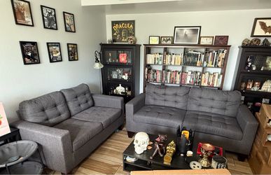 Couch Love Seat Combo