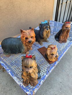 Yorkies