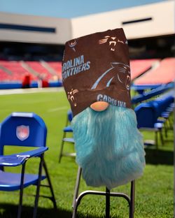 NFL Panthers Gnome