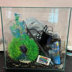Fish Aquarium 