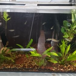 Acrylic Tanks, 75-55 and 30 Gallons. Two 40 G Breeders, 75 G And 180g 