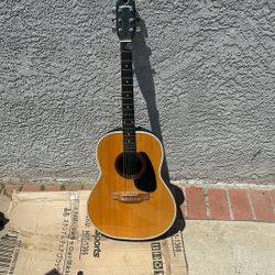 Applause USA Deep  Bowl  Guitar