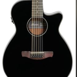 Ibanez 12-String Acoustic-Electric Guitar (Black)