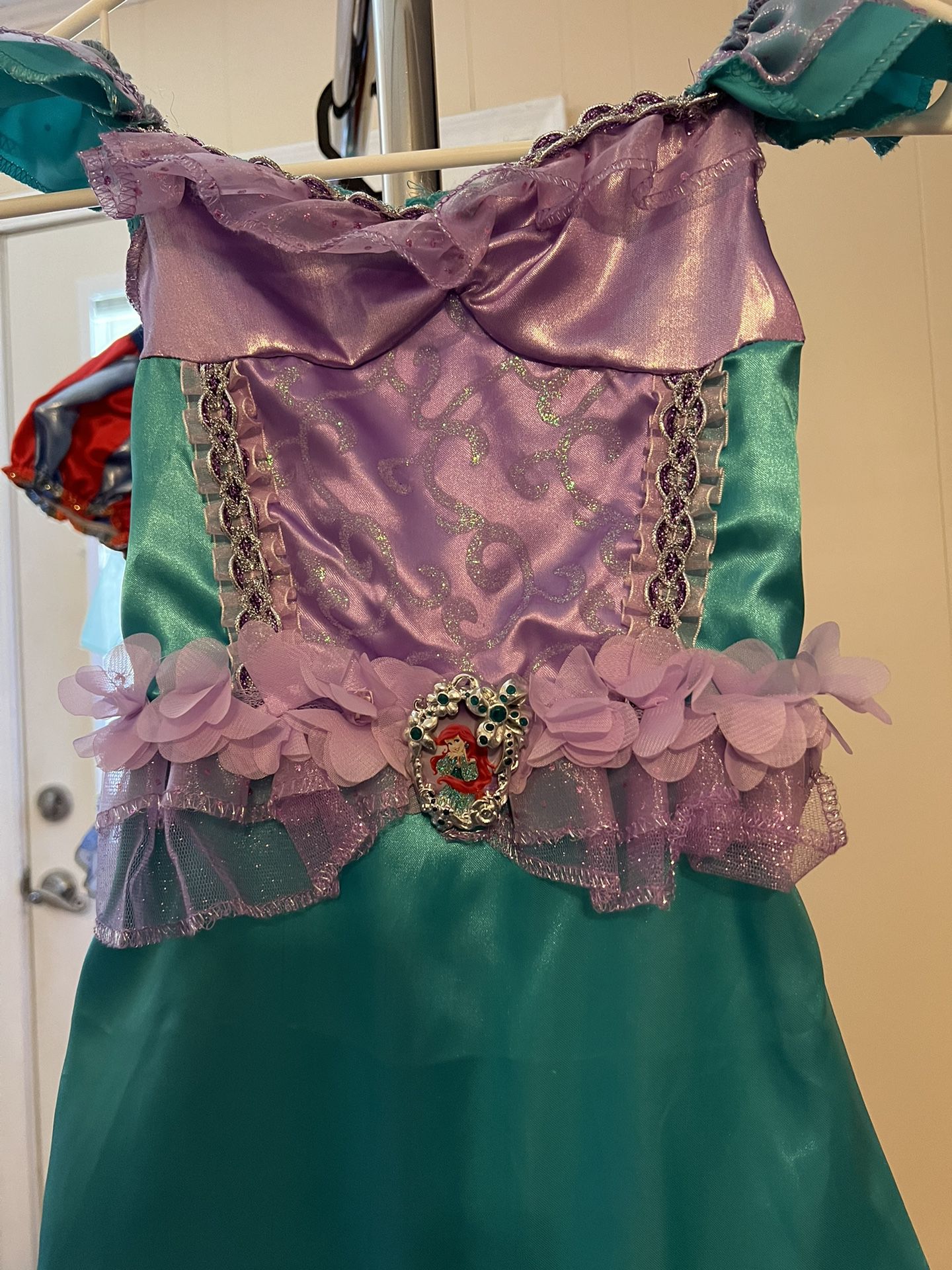  “ Princess” Disney Child Halloween costume