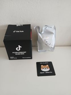 Tik Tok plush pendant blind box New unopened!
Only 20 dollars!
Incredible deal.